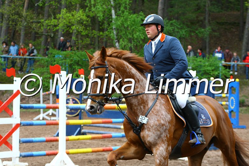 005L5382_Quinto_Spring M mit Stechen.JPG